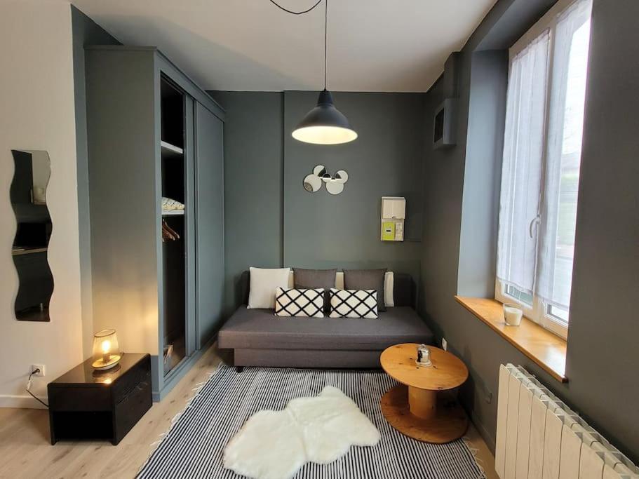 Studio Prive Centre Saint Louis مونتارجي المظهر الخارجي الصورة