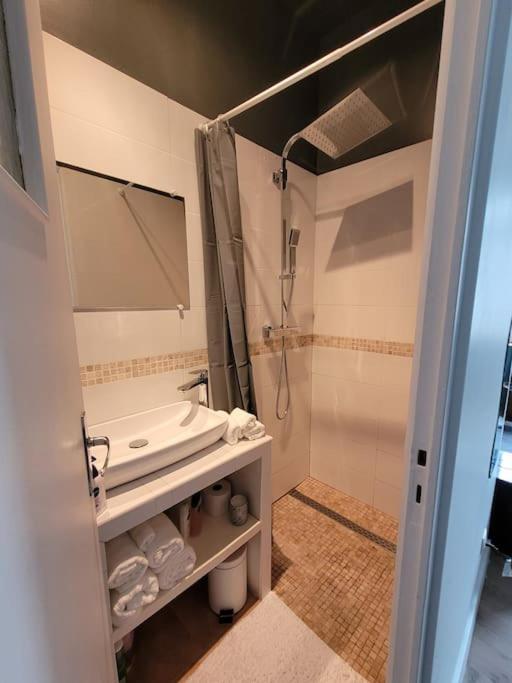 Studio Prive Centre Saint Louis مونتارجي المظهر الخارجي الصورة